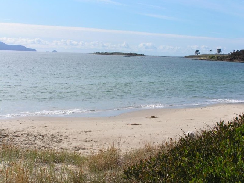 11766 Tasman Highway, Swansea TAS 7190