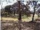 11766 Tasman Highway, Swansea TAS 7190