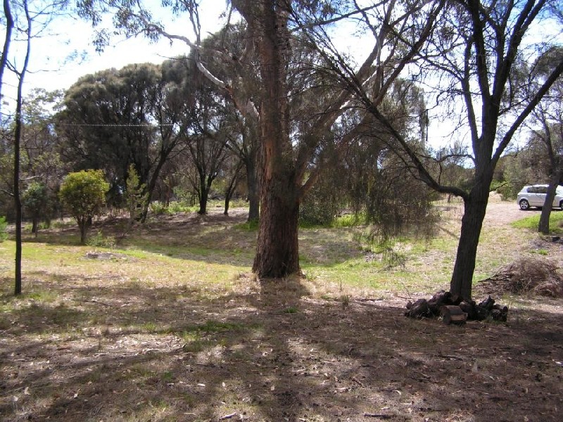 11766 Tasman Highway, Swansea TAS 7190