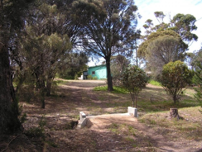 11766 Tasman Highway, Swansea TAS 7190