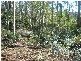 145 Goullees Road, Underwood TAS 7268