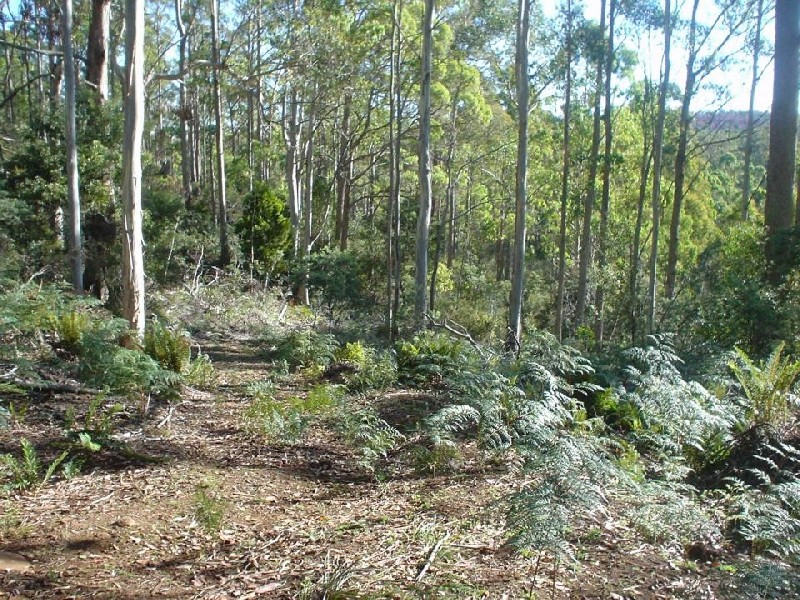 145 Goullees Road, Underwood TAS 7268