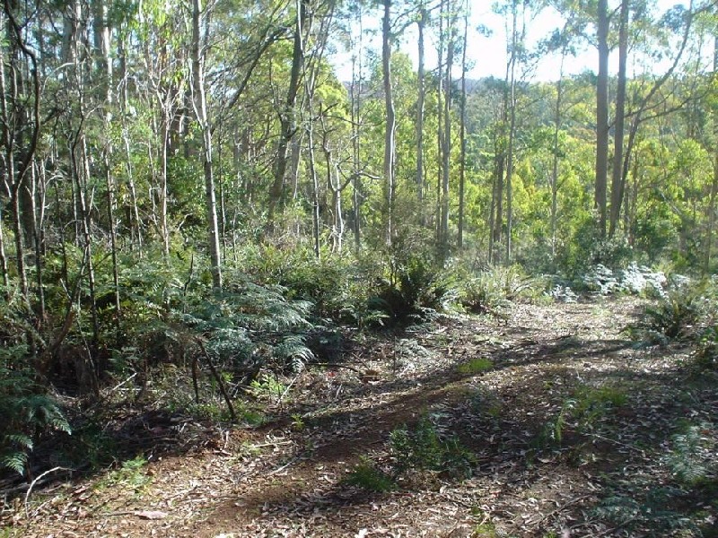 145 Goullees Road, Underwood TAS 7268