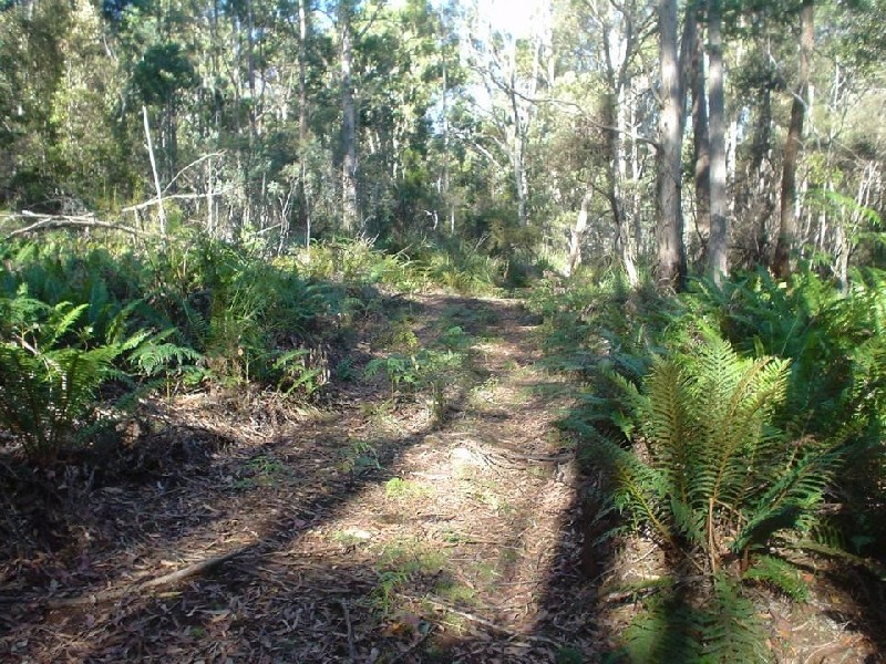145 Goullees Road, Underwood TAS 7268