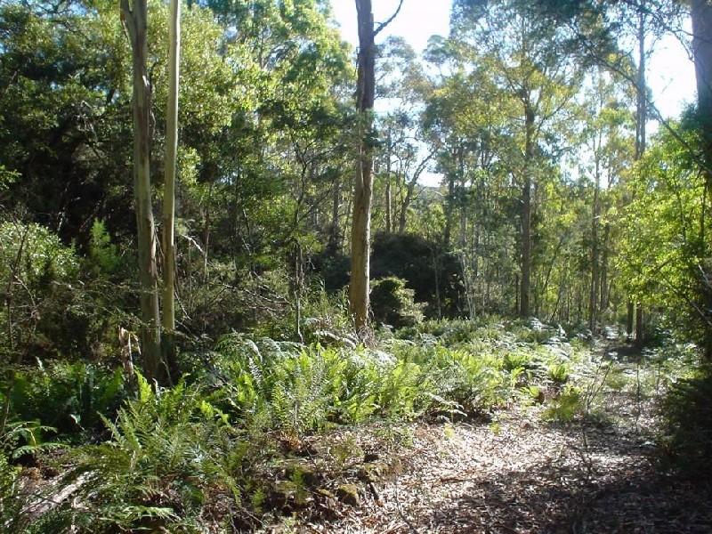 145 Goullees Road, Underwood TAS 7268
