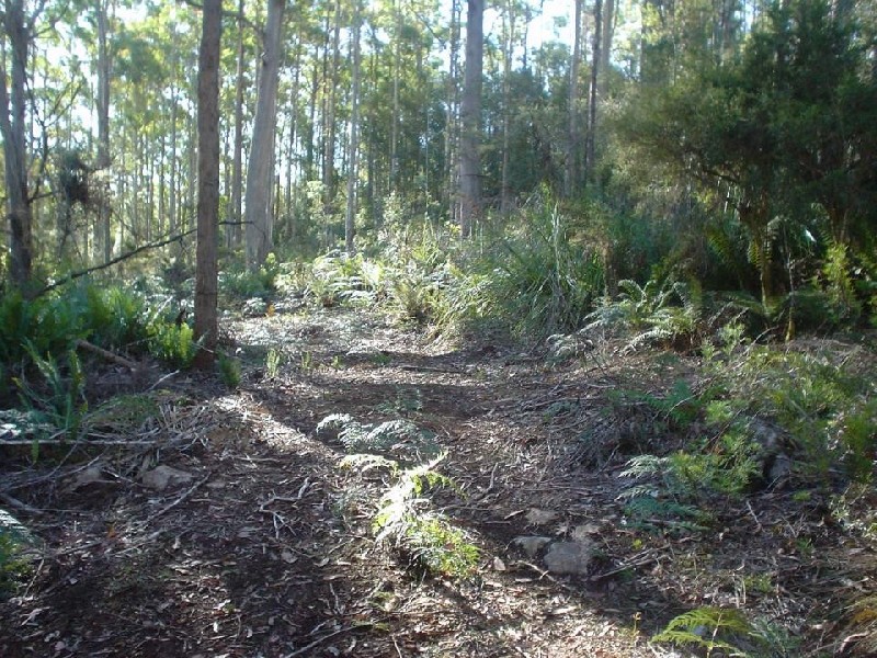 145 Goullees Road, Underwood TAS 7268