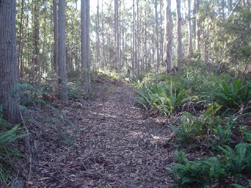 145 Goullees Road, Underwood TAS 7268