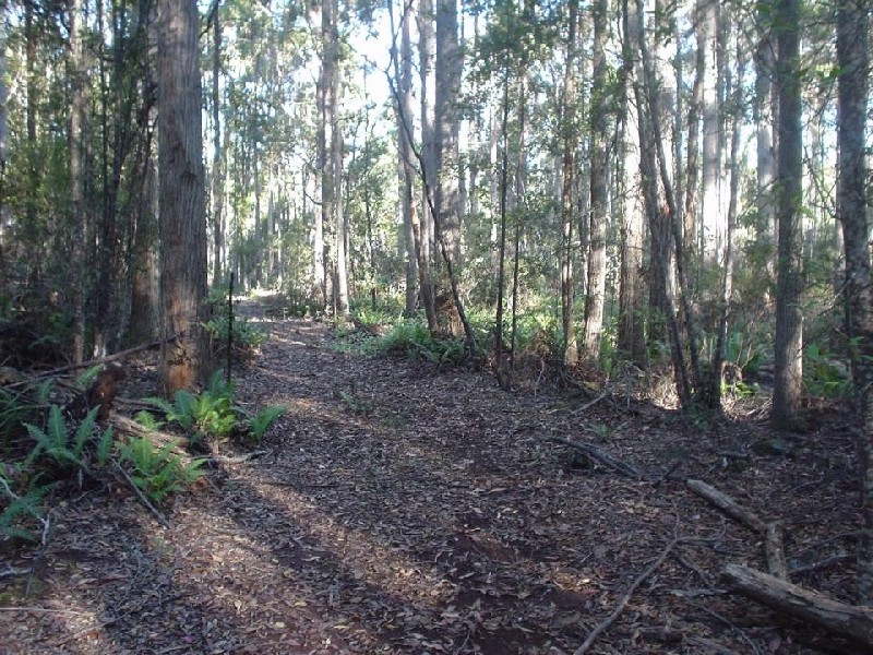 145 Goullees Road, Underwood TAS 7268