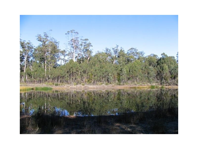 153 Hoods Road, Glengarry TAS 7275