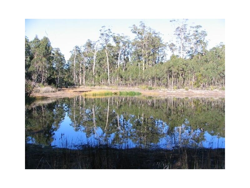 153 Hoods Road, Glengarry TAS 7275