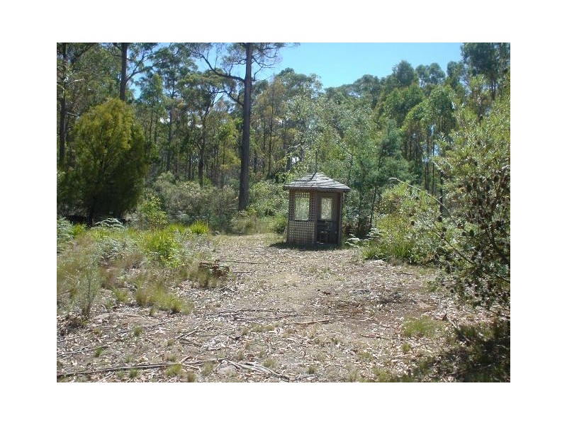 446 Prossers Road, Nunamara TAS 7259