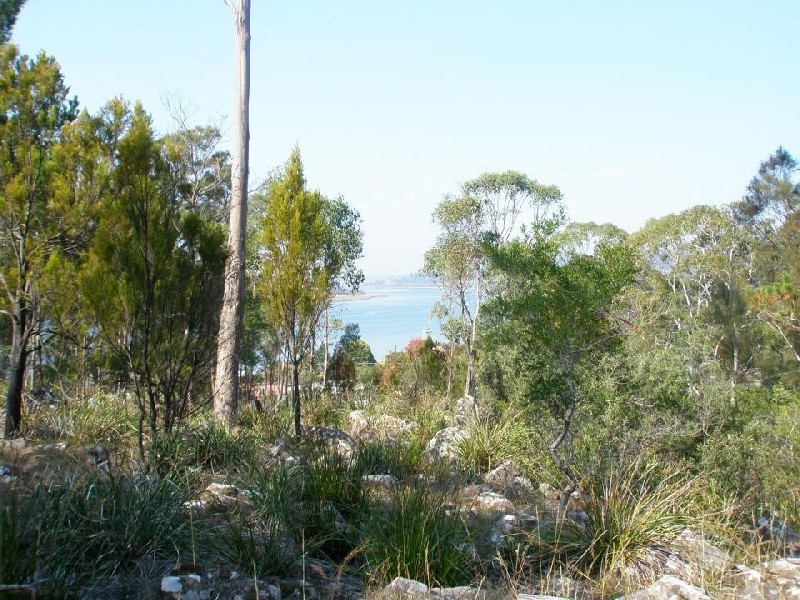 49 Gravelly Beach Road, Blackwall TAS 7275