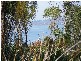 49 Gravelly Beach Road, Blackwall TAS 7275
