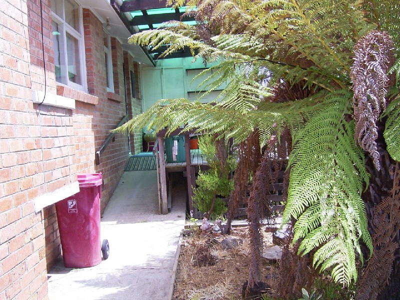 125 Stanley Street, Summerhill TAS 7250