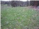 44a New Ecclestone Road, Riverside TAS 7250
