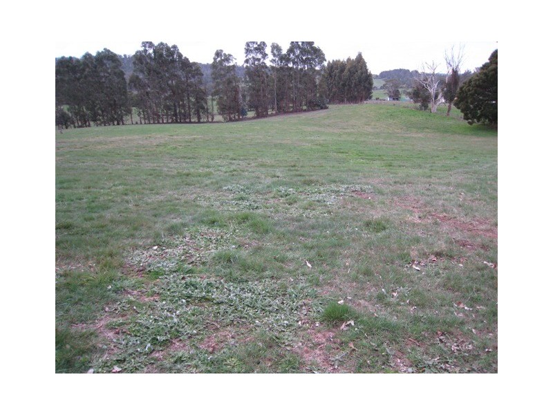 44a New Ecclestone Road, Riverside TAS 7250