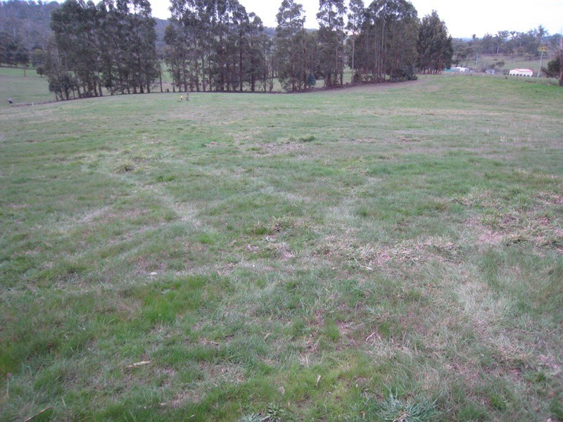 44a New Ecclestone Road, Riverside TAS 7250
