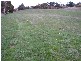 44a New Ecclestone Road, Riverside TAS 7250