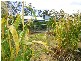 620 Lilydale Road, Underwood TAS 7268