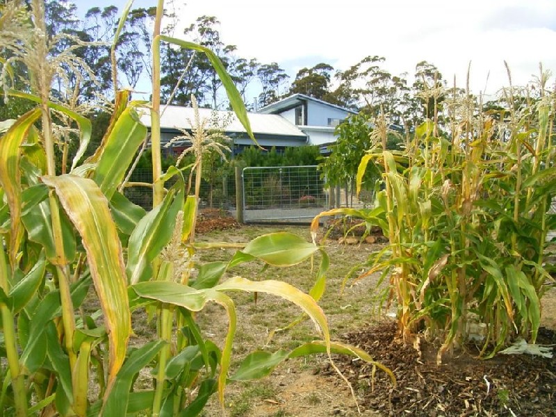 620 Lilydale Road, Underwood TAS 7268