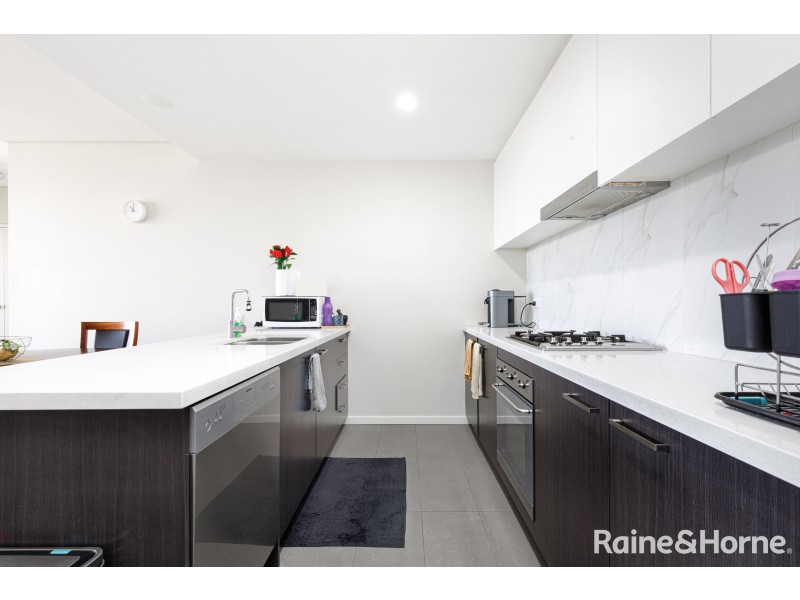 303/19-21 Prospect Street, Rosehill NSW 2142