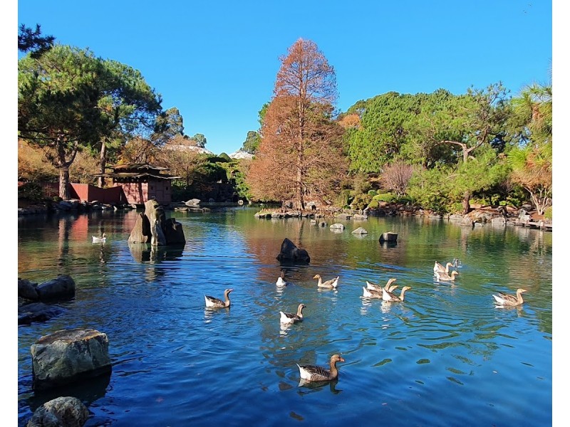 5066/57-59 Queen Street, Auburn NSW 2144