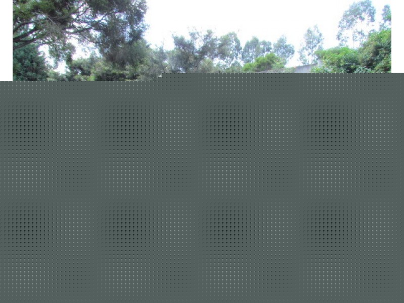 23 Peachtree Avenue, Constitution Hill NSW 2145