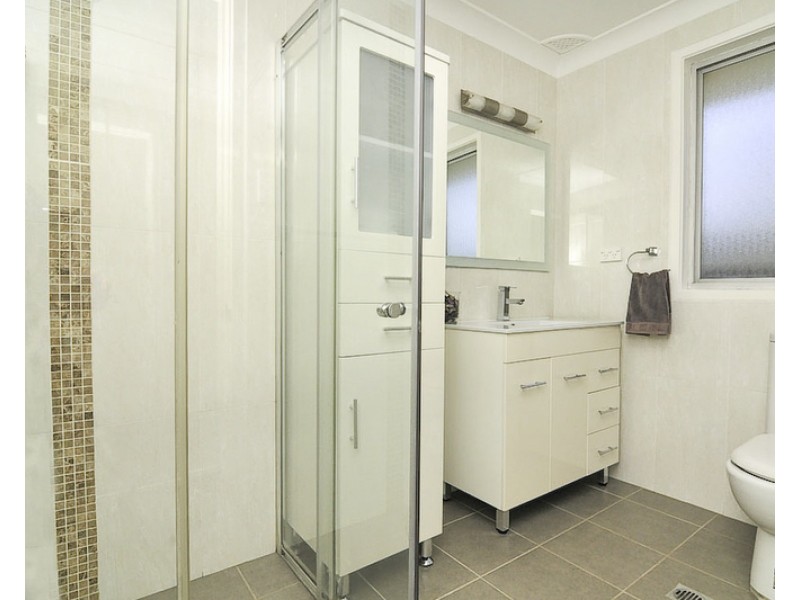 38 Vianney Crescent, Toongabbie NSW 2146