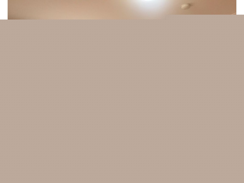 8/4  Obi Lane, Toongabbie NSW 2146