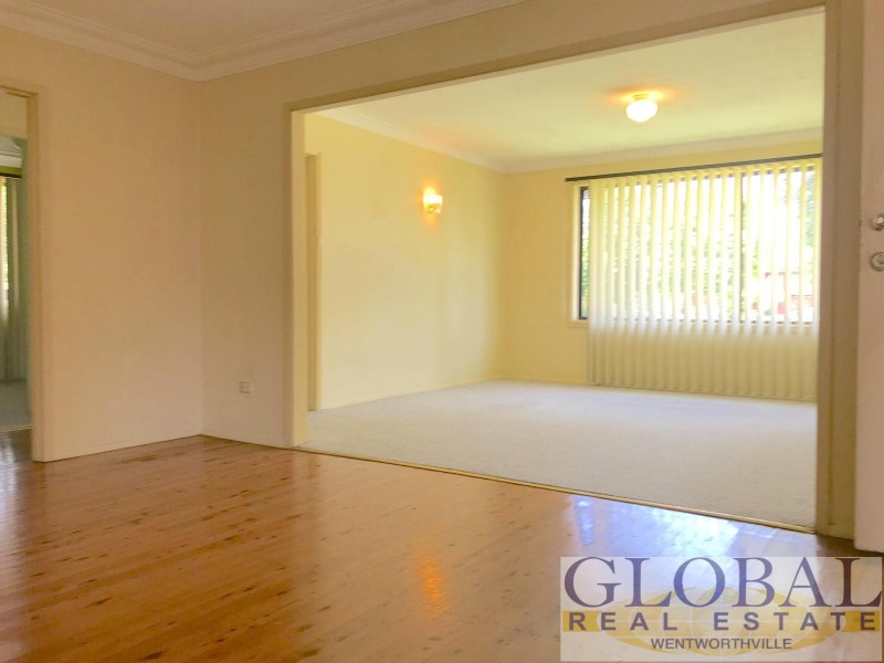 25 Apple Street, Constitution Hill NSW 2145