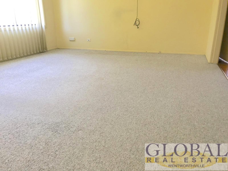 25 Apple Street, Constitution Hill NSW 2145