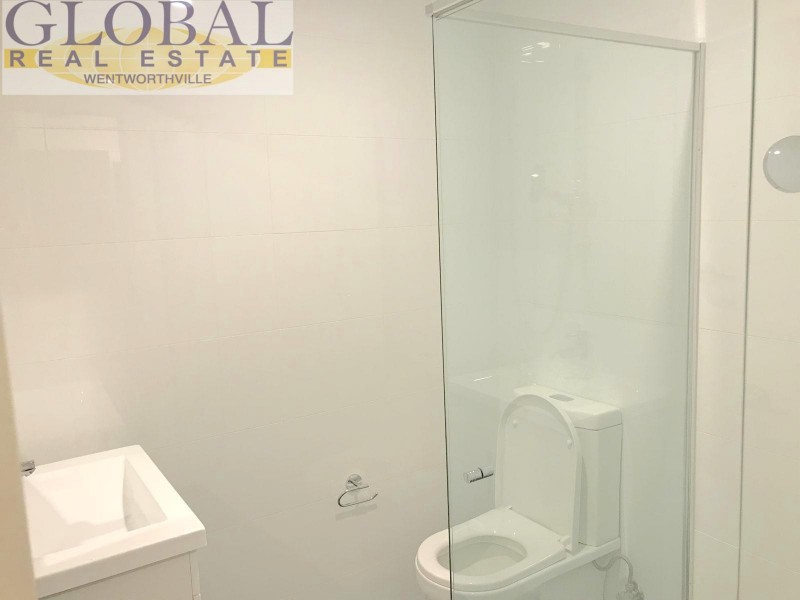 25 Apple Street, Constitution Hill NSW 2145