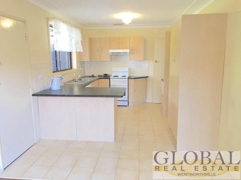 25 Apple Street, Constitution Hill NSW 2145