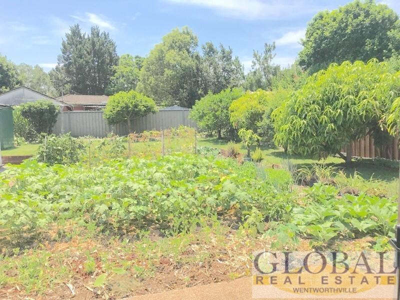 25 Apple Street, Constitution Hill NSW 2145