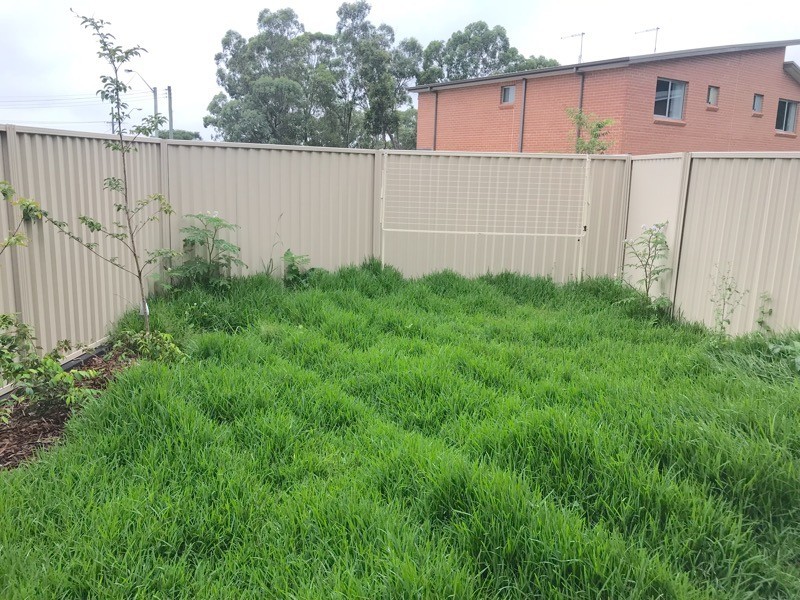 8 Oregano Glade, Rooty Hill NSW 2766