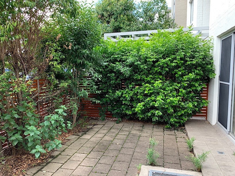 Wentworthville NSW 2145