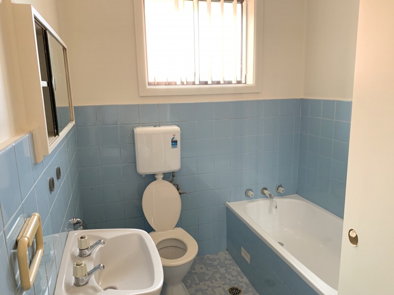 25 Apple St, Wentworthville NSW 2145