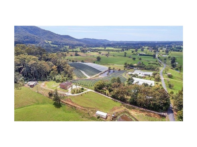 370 Crossmaglen Rd, Bonville NSW 2441