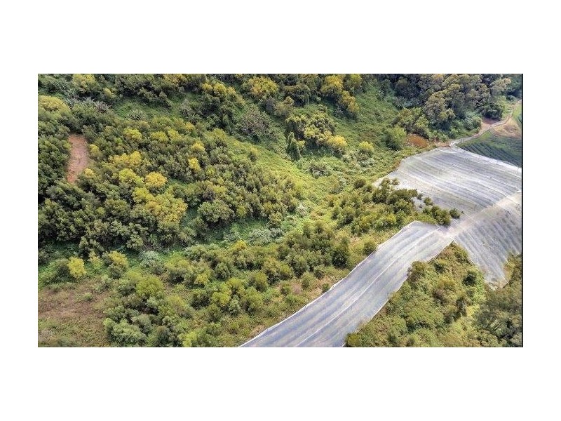 370 Crossmaglen Rd, Bonville NSW 2441