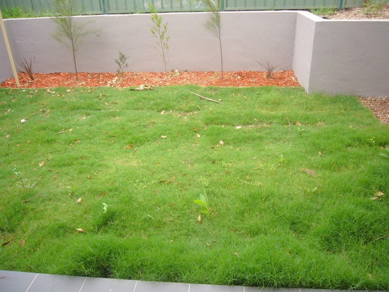 21 Eskdale St, Minchinbury NSW 2770