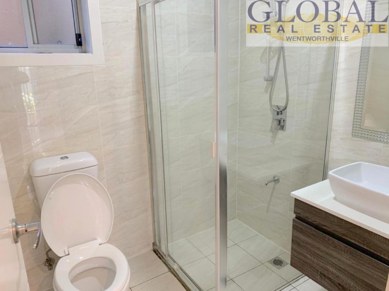 21 Eskdale St, Minchinbury NSW 2770