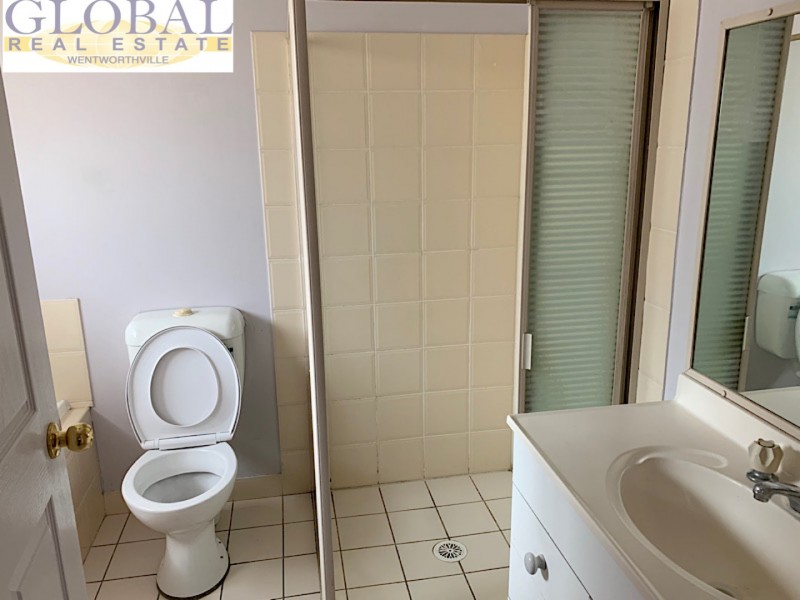 3 Cheviot st, Mount Druitt NSW 2770