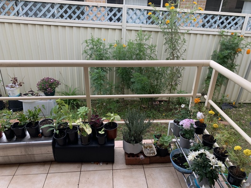 24-26 Veron St, Wentworthville NSW 2145