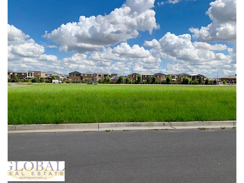 33 Ficus St, The Ponds NSW 2769