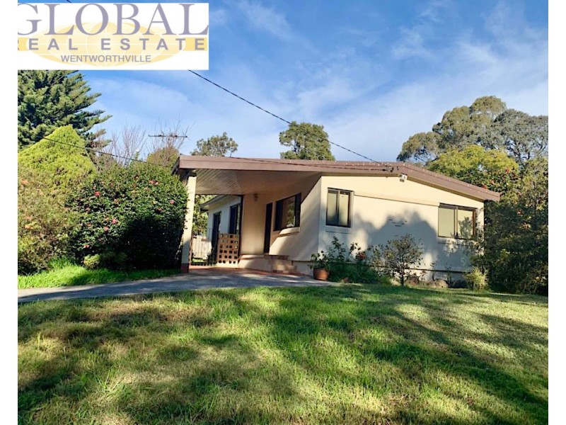 4 Holland Pl, Dundas NSW 2117