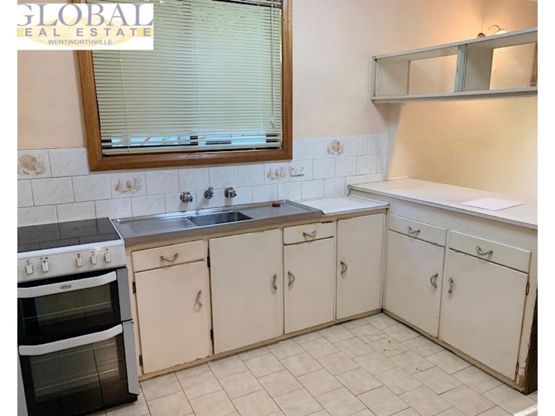 4 Holland Pl, Dundas NSW 2117