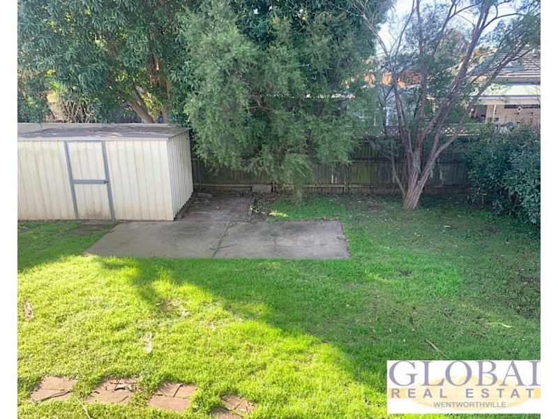 10 Tabooba Street, Constitution Hill NSW 2145