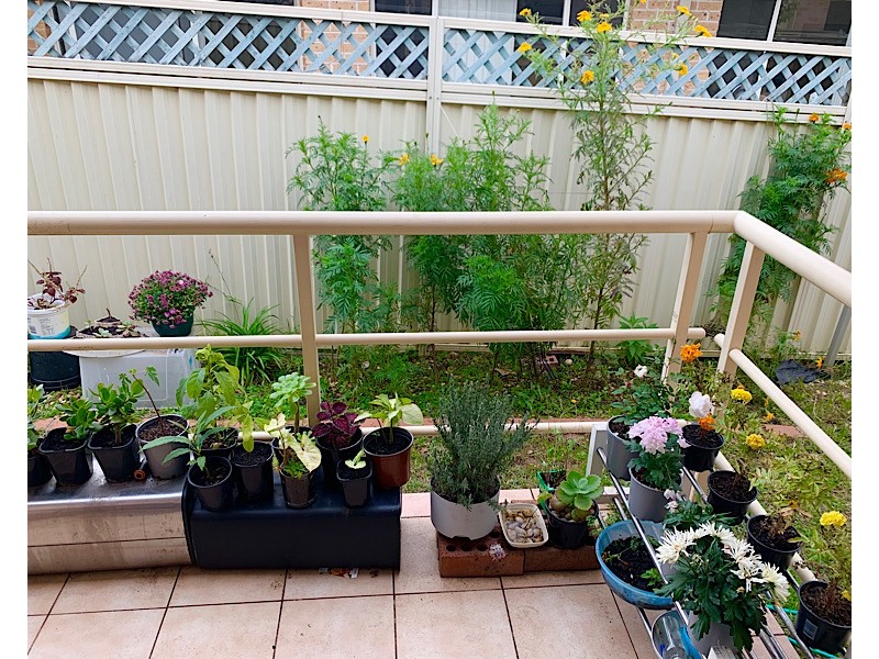 24-26  Veron St, Wentworthville NSW 2145