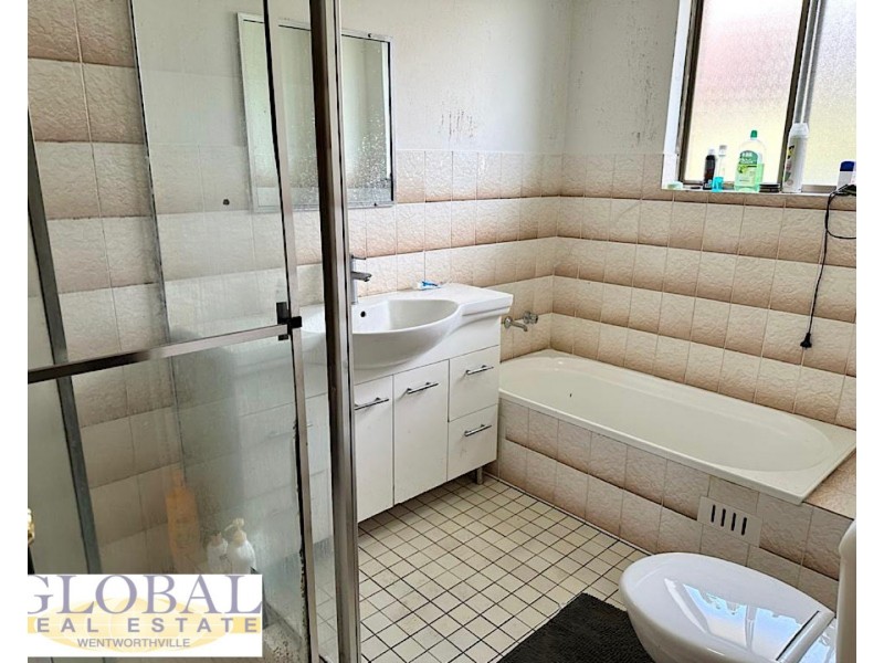 11 Louise St, Granville NSW 2142