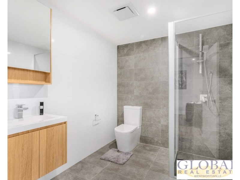 17 Booth St, Westmead NSW 2145
